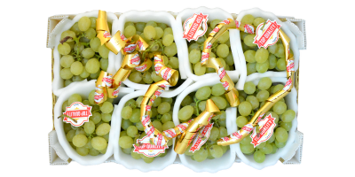 packaging in propilene per uva linea top quality fra.va.
